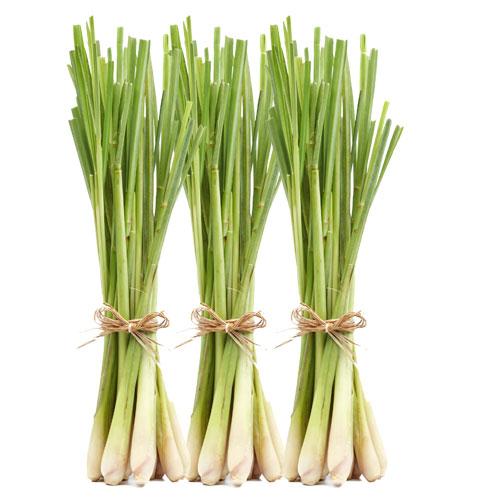 Lemon grass